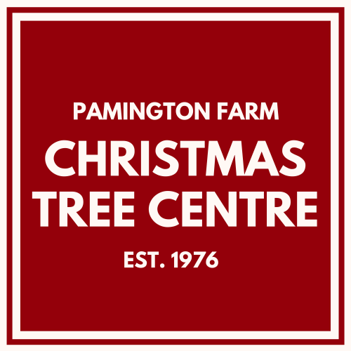 Pamington Farm Christmas Tree Centre
